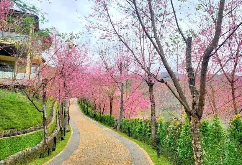 هتل Garrya Mù Cang Chải