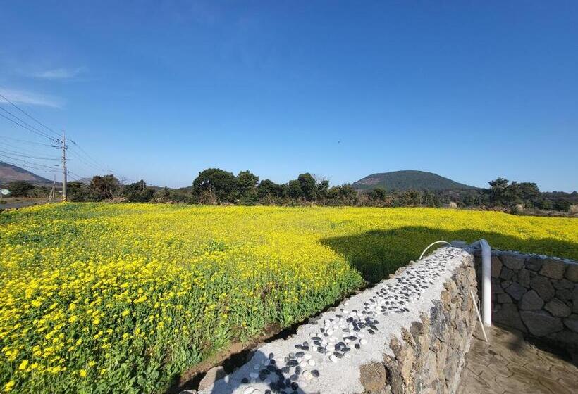 Jeju Management Pension