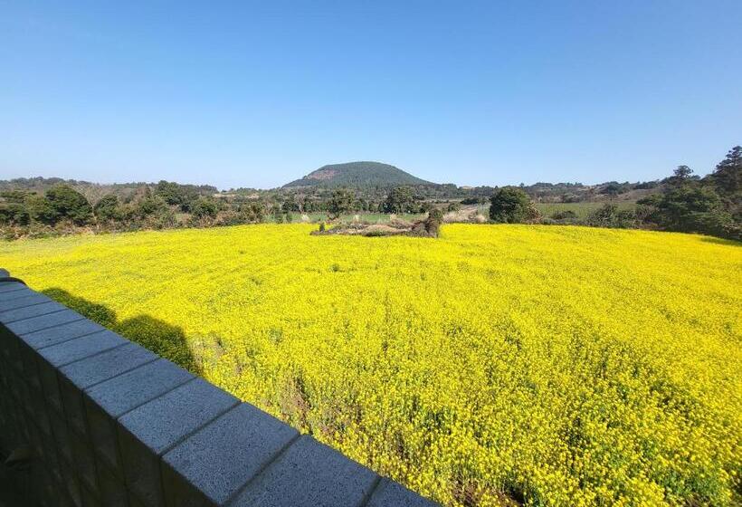 Jeju Management Pension