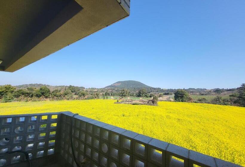 Jeju Management Pension