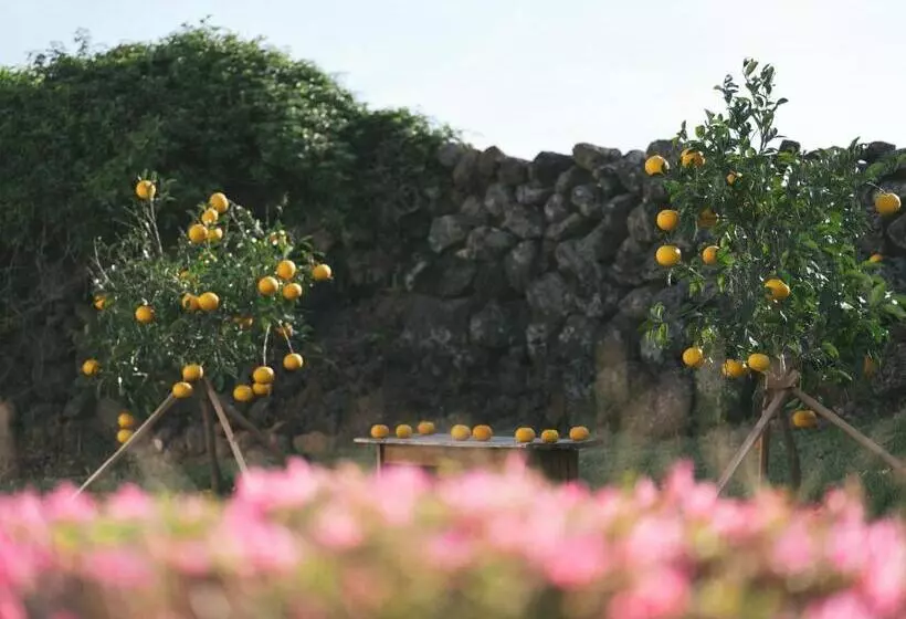 Majatalo Jayouhaneun Private House