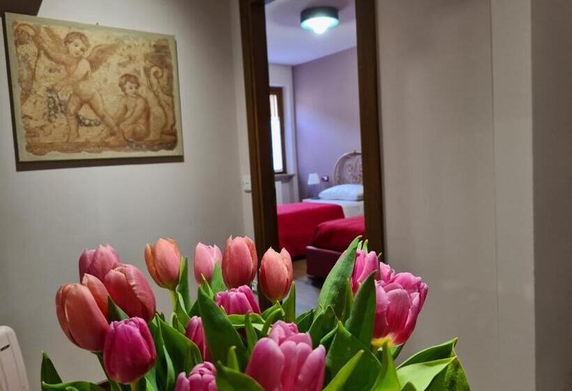 بنسيون Zi Bitta Guest House