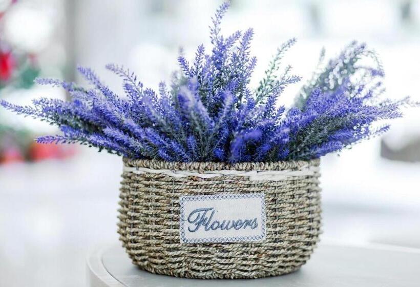 Lavande Hotels·changde Anxiang