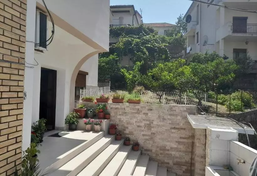 Ulpiana   Apartments,rooms,hostel