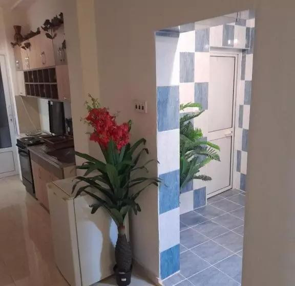 Ulpiana   Apartments,rooms,hostel