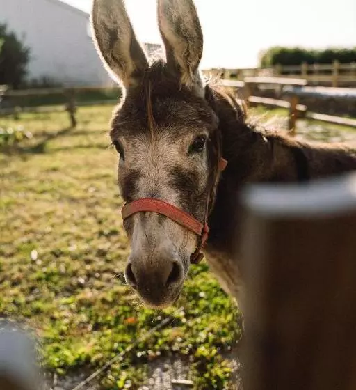 ホテル Ferienwohnung Gröde Bei Familie Wulff