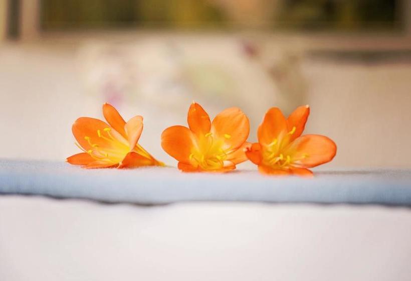 Aamiaismajoitus (B&B) The Stableford House