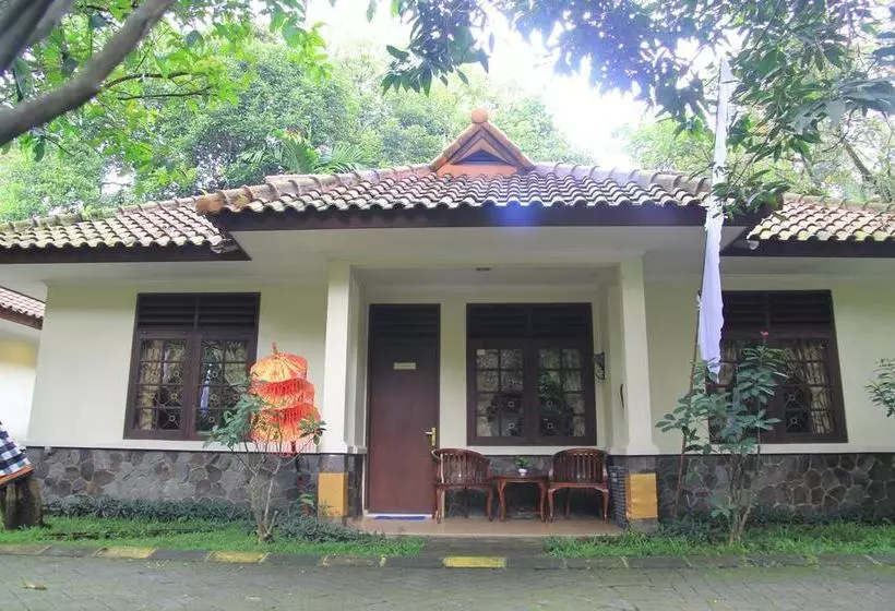 Cico Resort