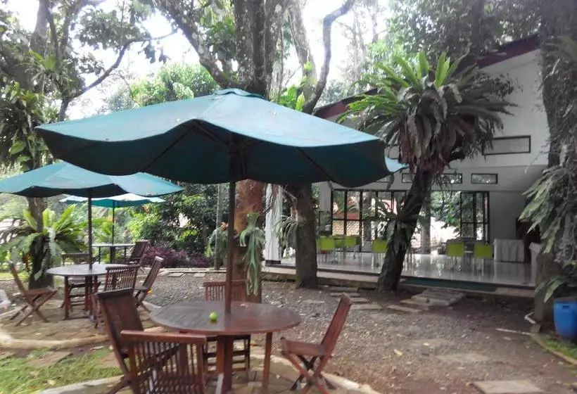 Cico Resort