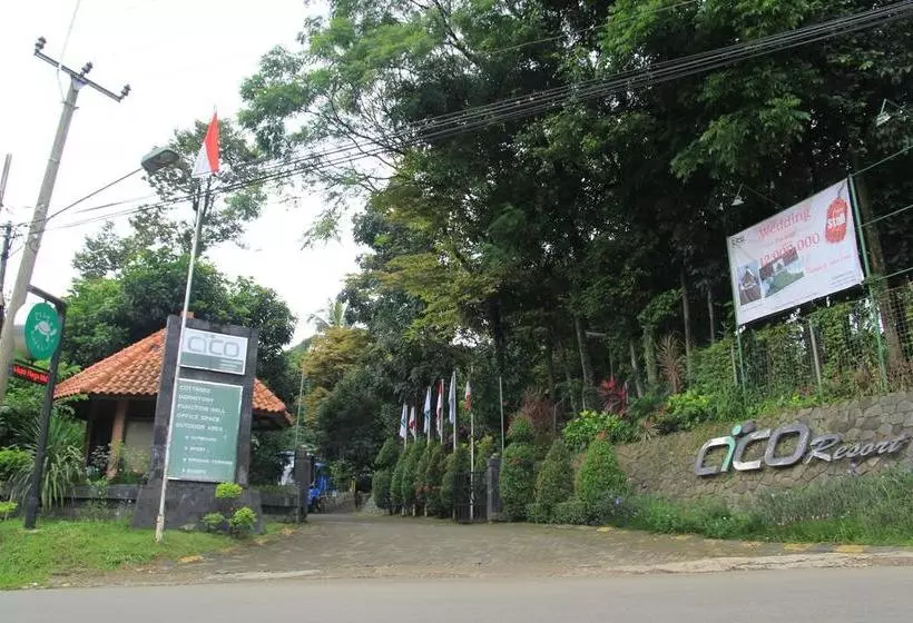 Cico Resort
