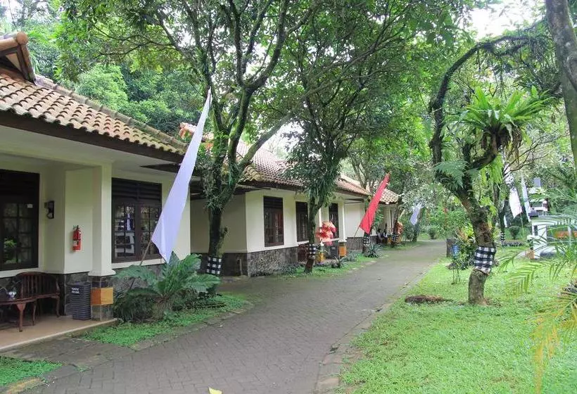 Cico Resort