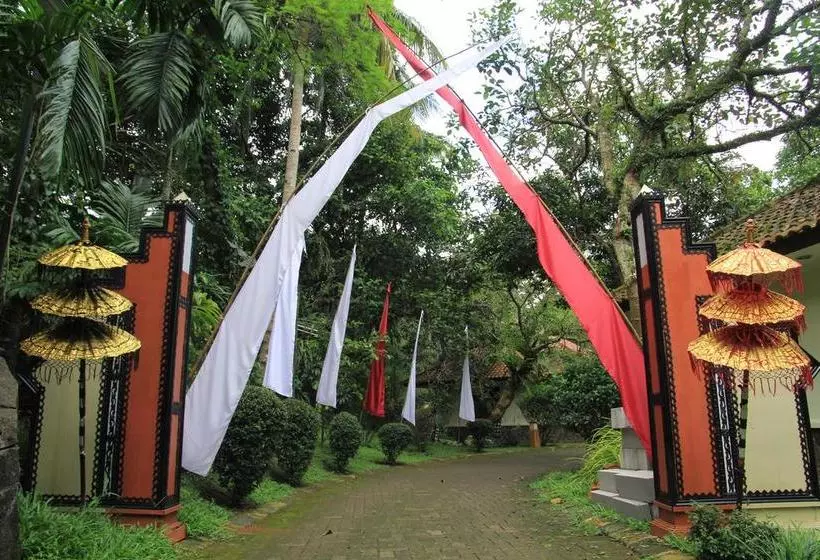 Cico Resort