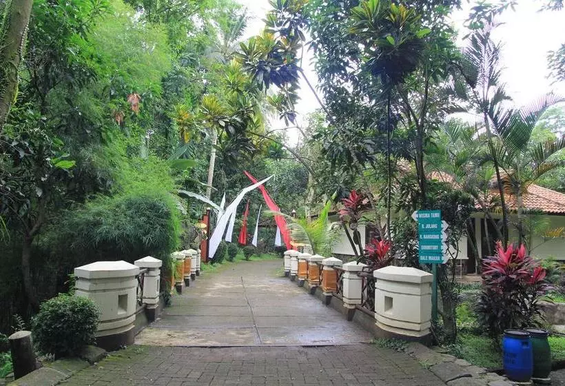 Cico Resort