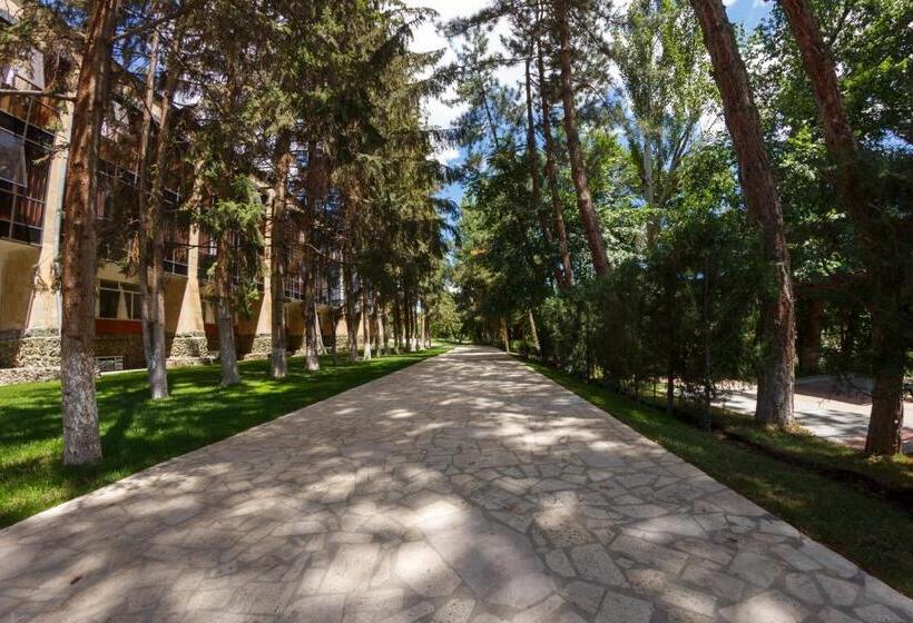 בית מלון כפרי Arzni Health Resort