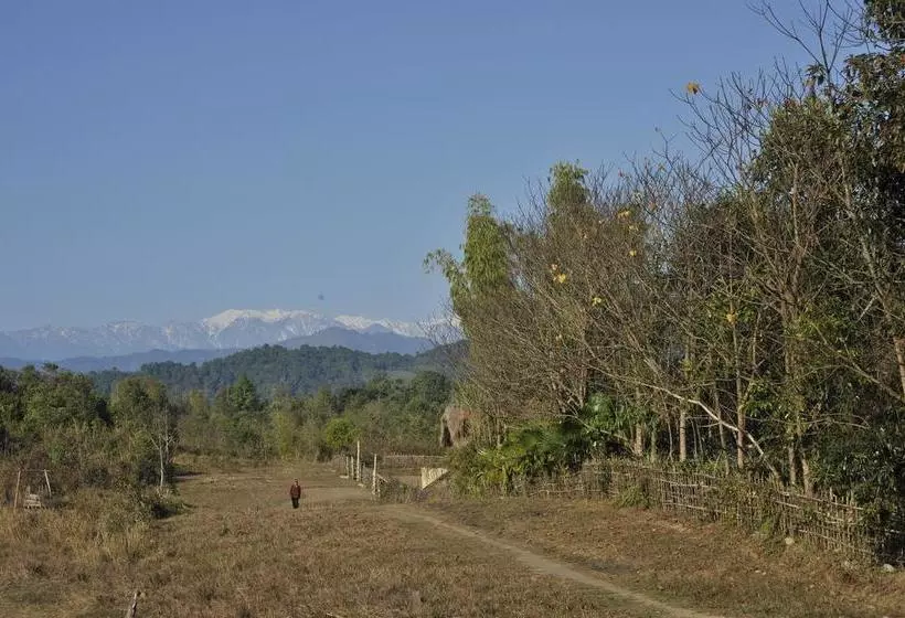 هتل Malikha Lodge