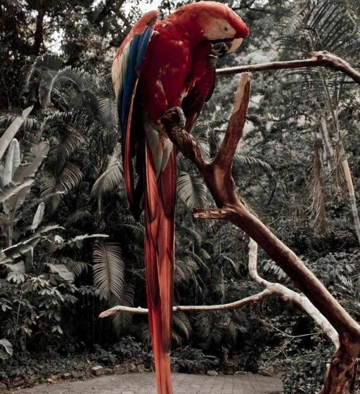 هتل Berakah B&b  Central Park