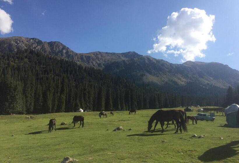 Kbh Karakol Based Hostel