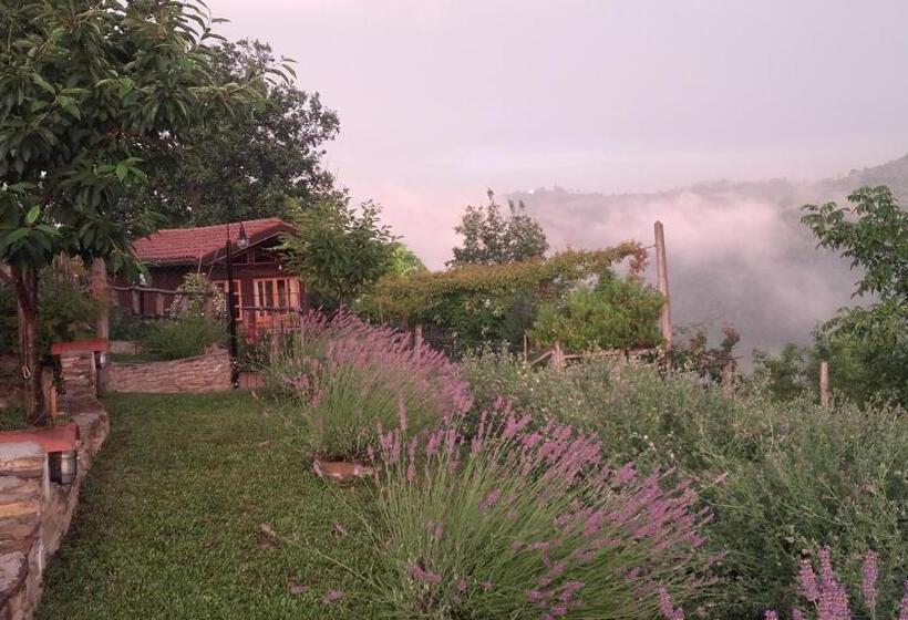Bed and Breakfast Magiche Langhe