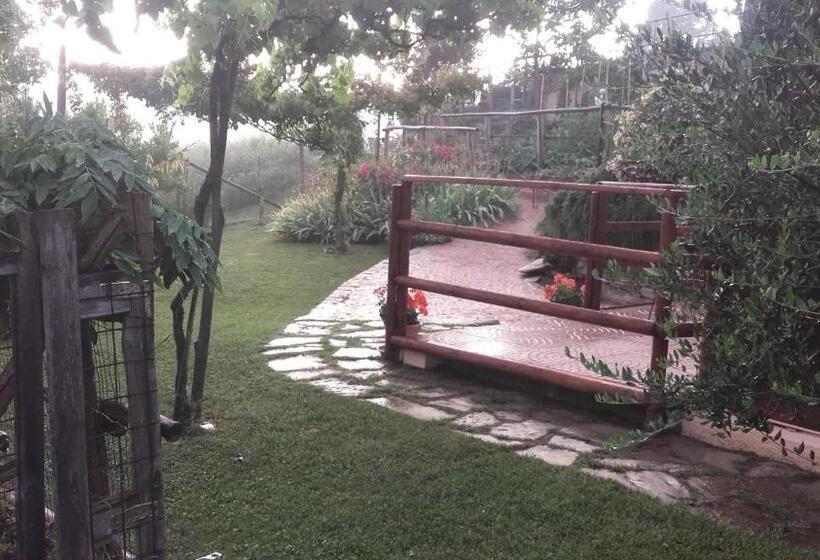 Bed and Breakfast Magiche Langhe