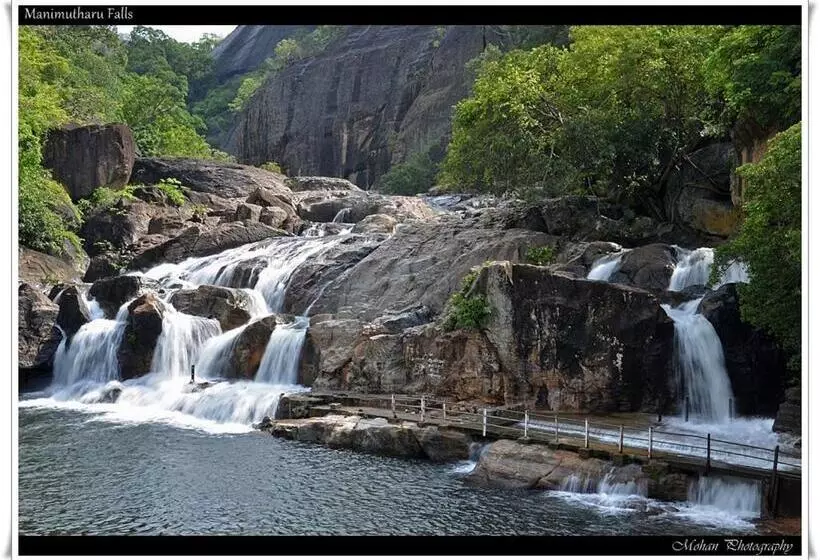 Orchard Valley Resort