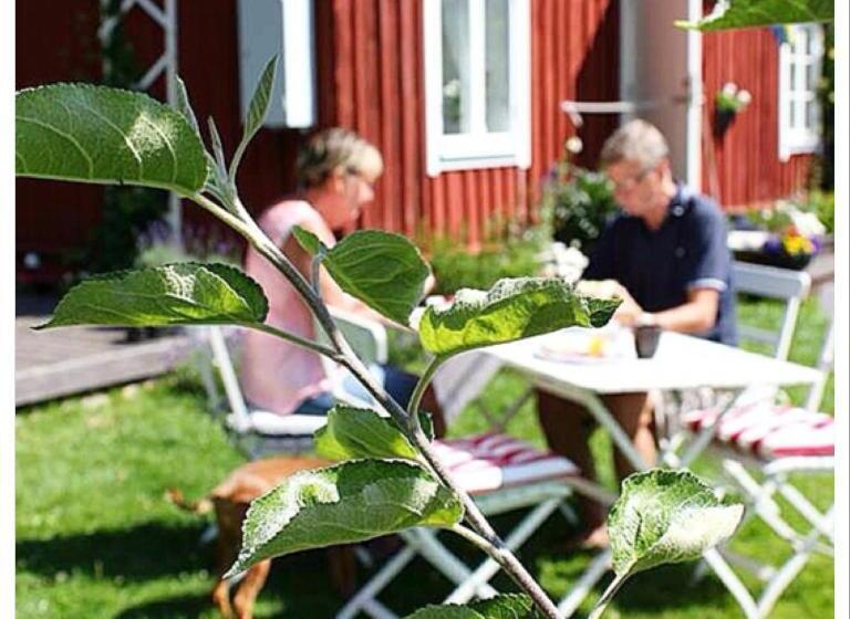 Bed and Breakfast Lavendeltorpet