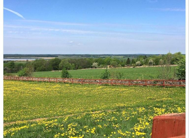 Bed and Breakfast Lavendeltorpet