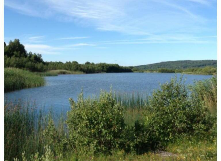 Bed and Breakfast Lavendeltorpet