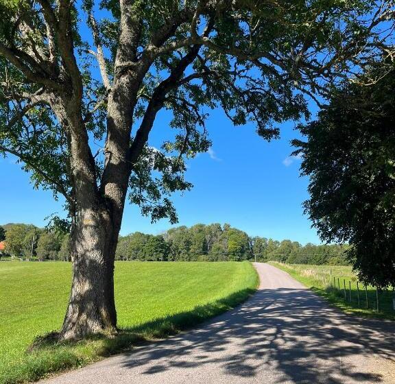 Bed and Breakfast Lavendeltorpet