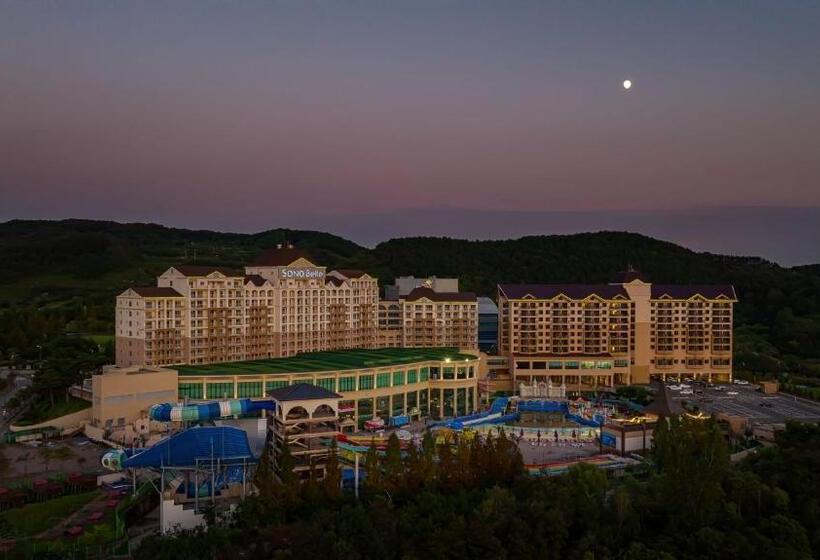 Hotel Sono Belle Cheonan