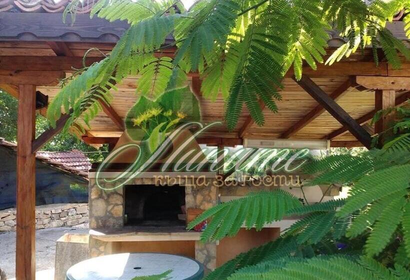 ペンション Guest House Lipite