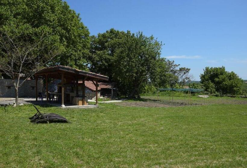 ペンション Guest House Lipite