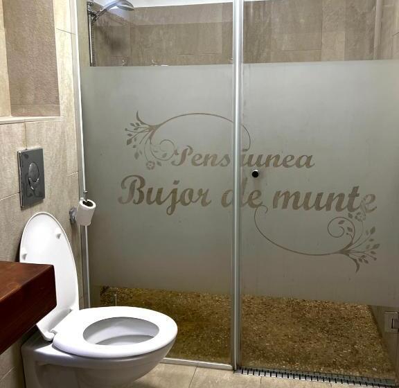 Pensiunea Bujor De Munte Colibita