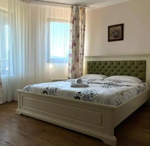 Pensiunea Bujor De Munte Colibita