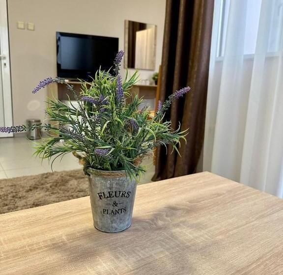 펜션 Guest House Family