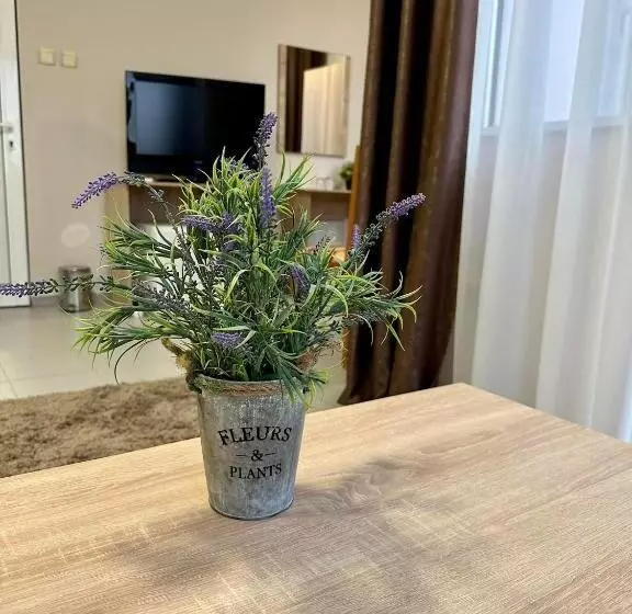 پانسیون Guest House Family
