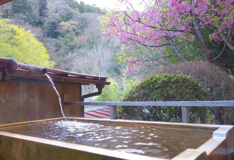 Sakaya Ryokan Yoshina Onsen