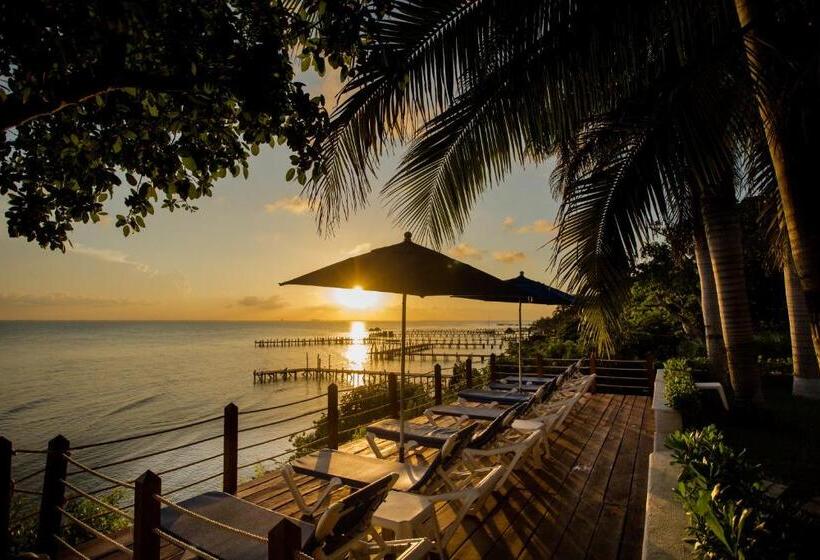 ホテル La Joya Isla Mujeres