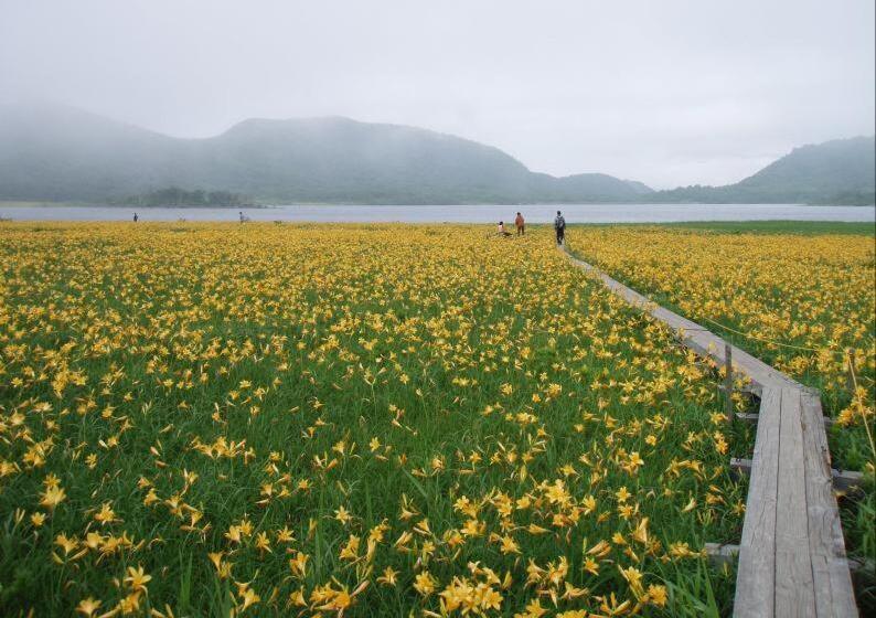 مبيت وإفطار Lake Village Donaludo Pension