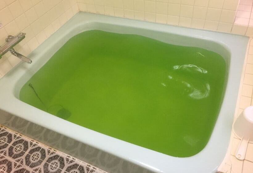 酒店 Niihama Hills Prince House