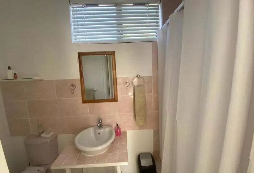 ベッドアンドブレックファースト Au Plais De Langebaan At Palm Tree Villa