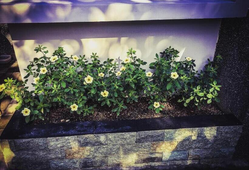 Bed and Breakfast Lazy Inn Kuta Lombok