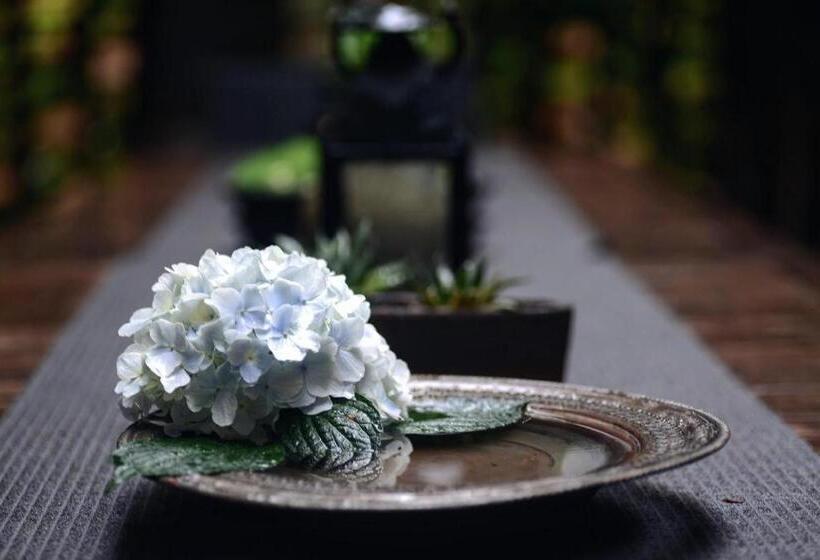 酒店 Yakamoz Haijie