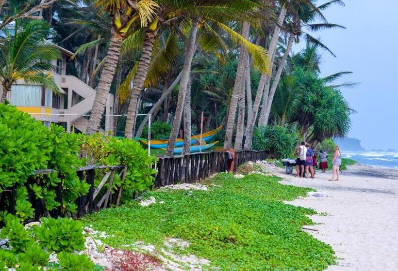 The Youth Hostel   It S A Youth Fame