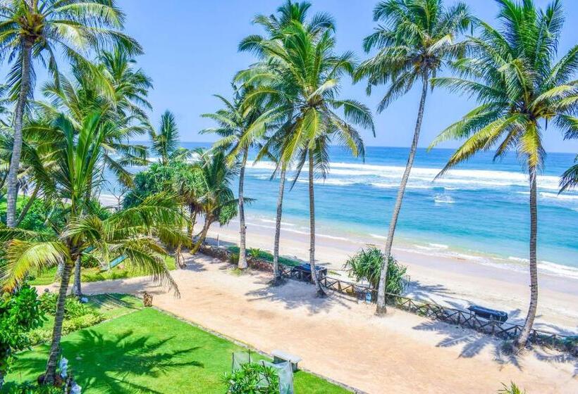 The Youth Hostel   It S A Youth Fame