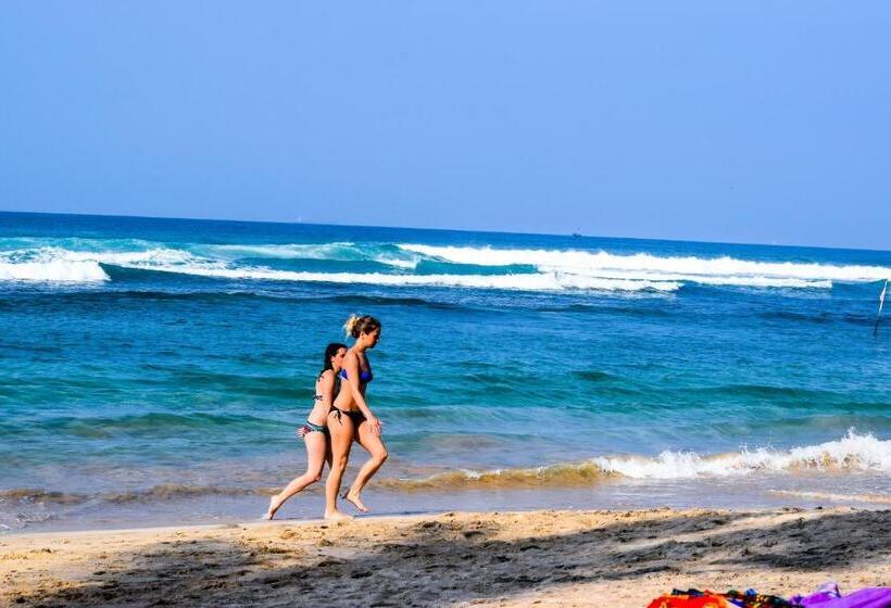 The Youth Hostel   It S A Youth Fame