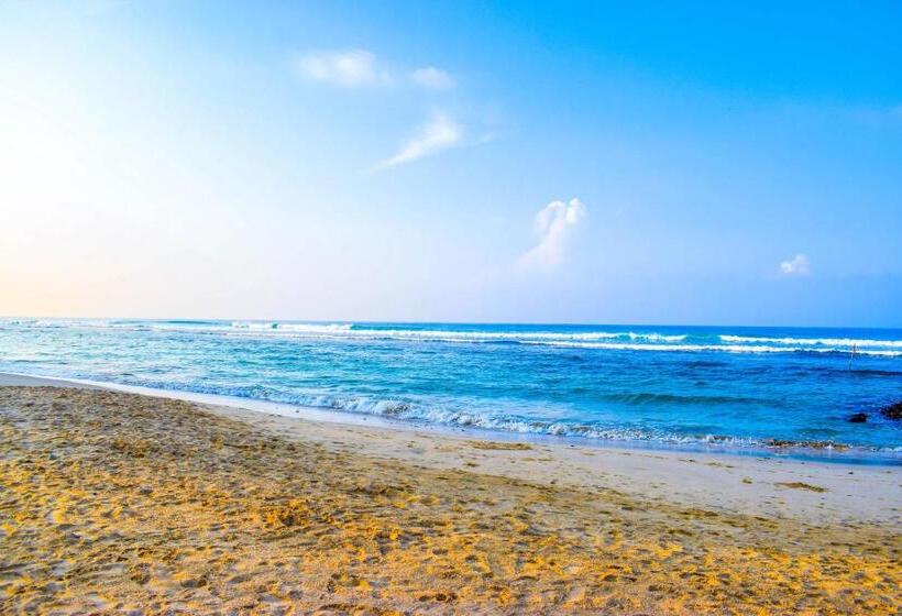 The Youth Hostel   It S A Youth Fame