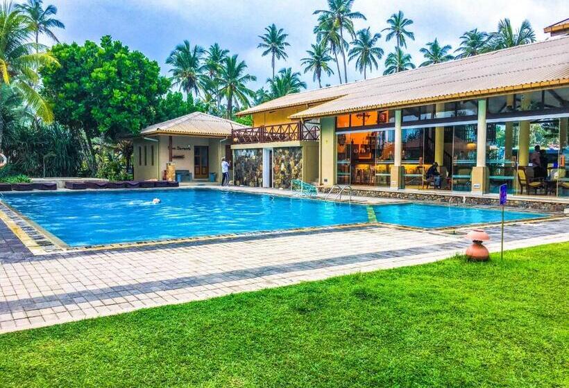 The Youth Hostel   It S A Youth Fame