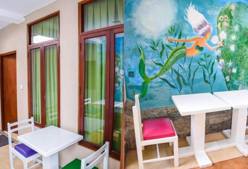 The Youth Hostel   It S A Youth Fame