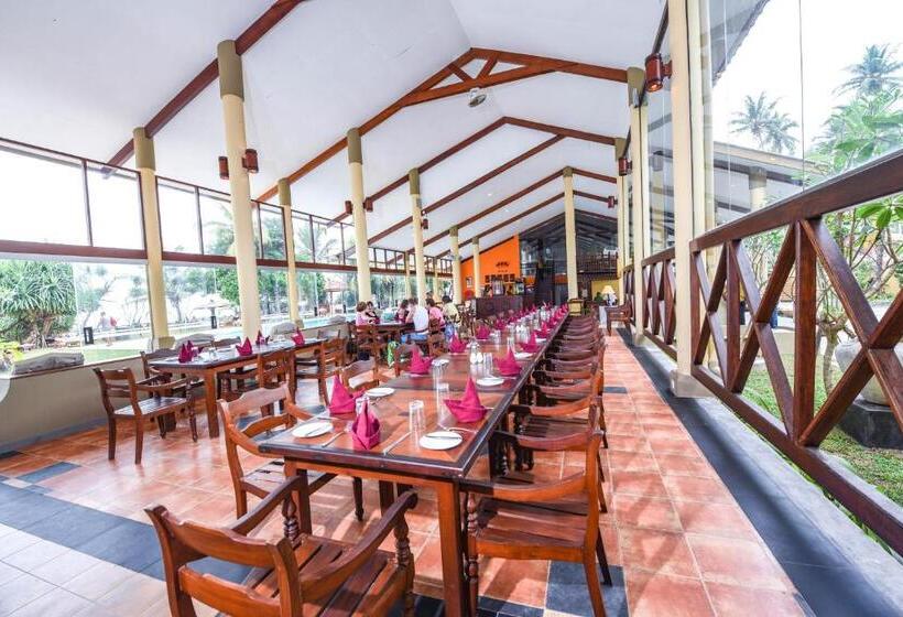 The Youth Hostel   It S A Youth Fame