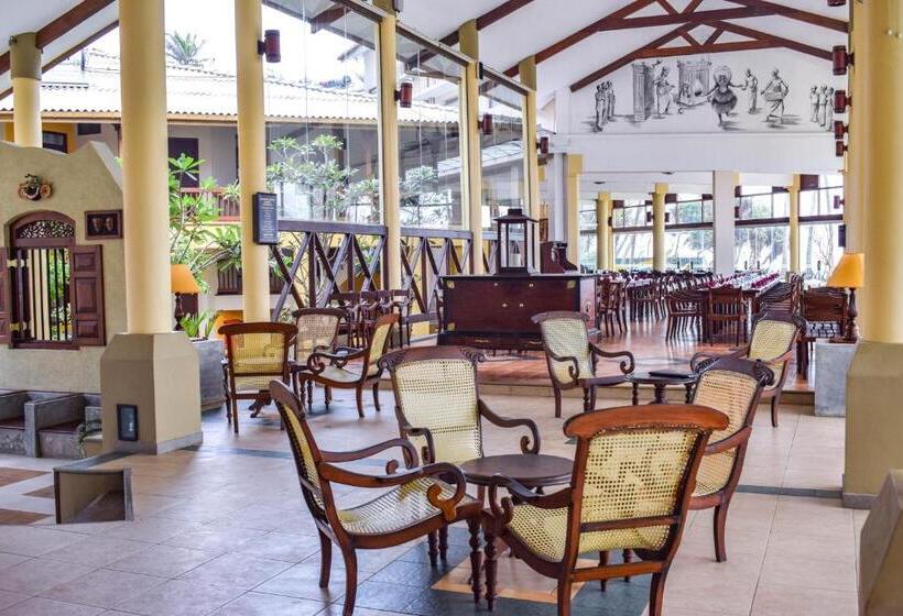 The Youth Hostel   It S A Youth Fame